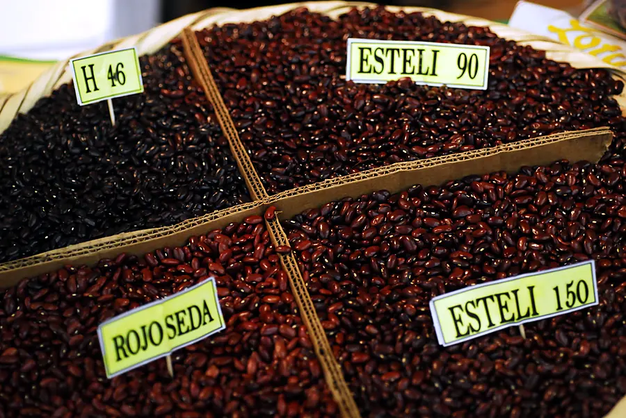 Variedades de frijol en exhibición